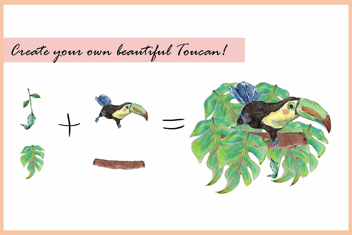 Rhino & Toucan-Watercolor Clipart, an Illustration by VianneArt (Photo 3 of 7)