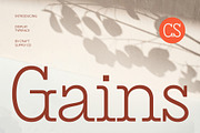 CS Gains – Classic Font, a Serif Font by Craft Supply Co. (Thumbnail 1 of 8)