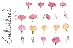 Watercolor Flower Clip Art - Flirty