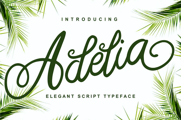 Adelia - Elegant Script Typeface preview 7