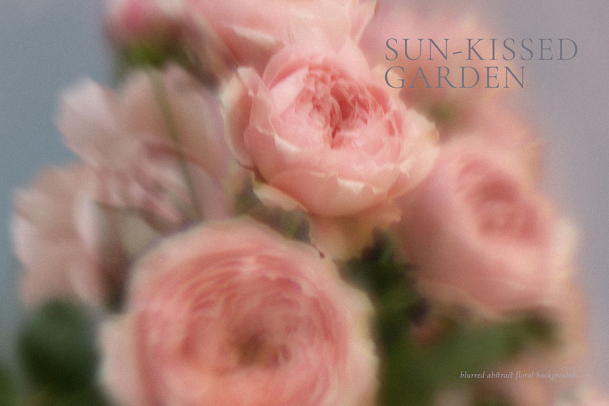 Blurry Flowers Abstract Backgrounds, a Background Graphic by Yuliya Derbisheva (Photo 15 of 15)