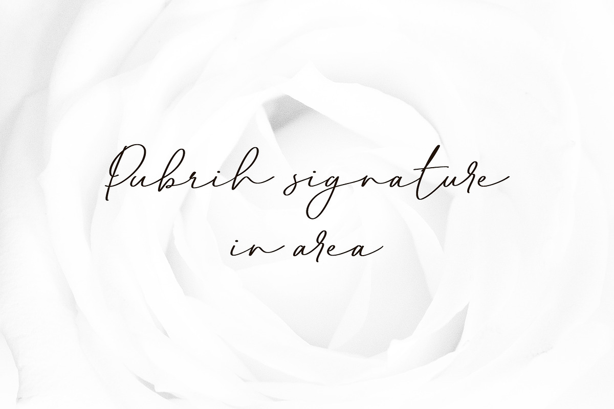 Pubrih Signature Font, a Script Font by Maulana Creative (Photo 7 of 10)