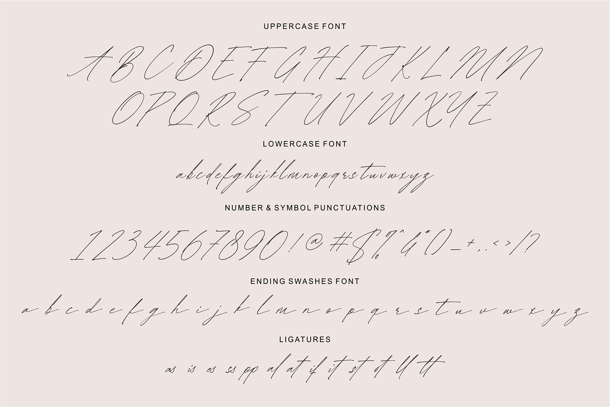 Clarance Nevertary, a Script Font by Shopifont.co (Photo 12 of 13)