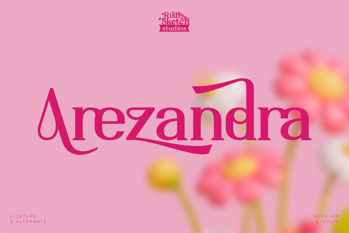 Arezandra, a Serif Font by Rishsketch (Photo 1 of 15)