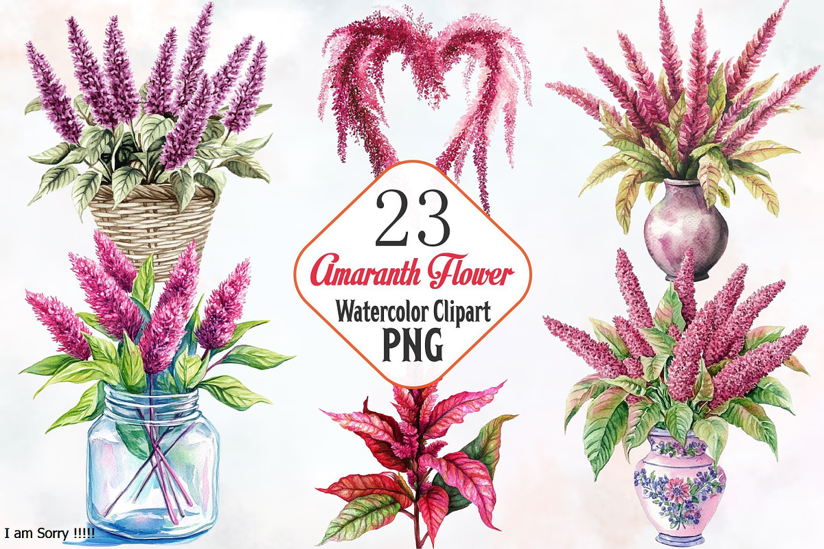 Amaranth Flower Watercolor Clipart's, an Illustration by RobertsArt (Photo 1 of 7)