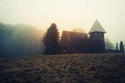 Foggy Day Lightroom Preset, an Action Add-On by Daniel Bartel (Thumbnail 5 of 7)