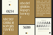 TBJ Palatino San serif With Serif, a Serif Font by Taboja Studio (Thumbnail 2 of 26)