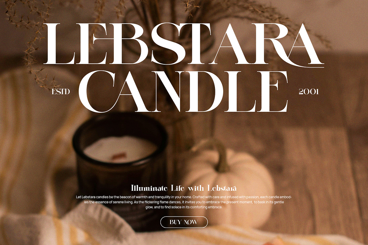 Gelmiro Elegant Serif Font, a Serif Font by Perfectype (Photo 5 of 8)