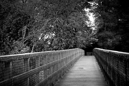 Black & White bridge