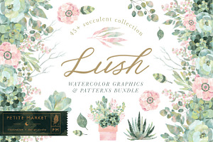 Lush Succulent Bundle