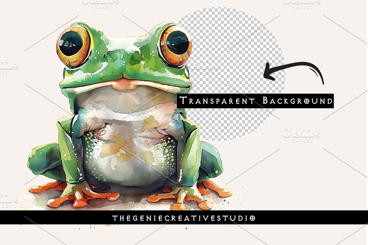 Cute Green Frog PNG Clip Art Set, an Animal Illustration by Geniecreativestudio (Photo 2 of 9)
