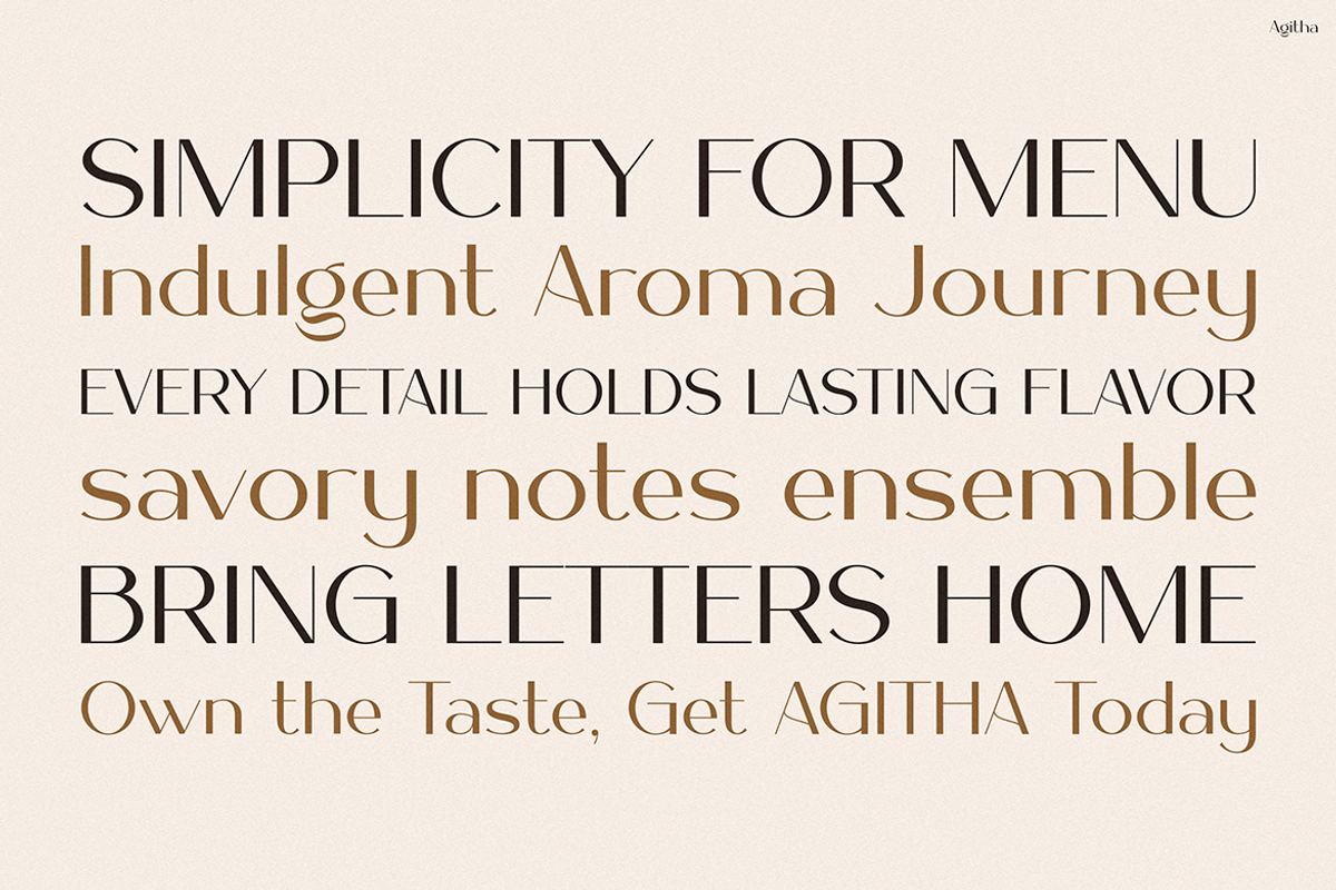 Agitha, a Serif Font by Pinisi ART (Photo 4 of 10)