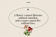 Chaviera, a Serif Font by INKSUN™ (Thumbnail 4 of 13)
