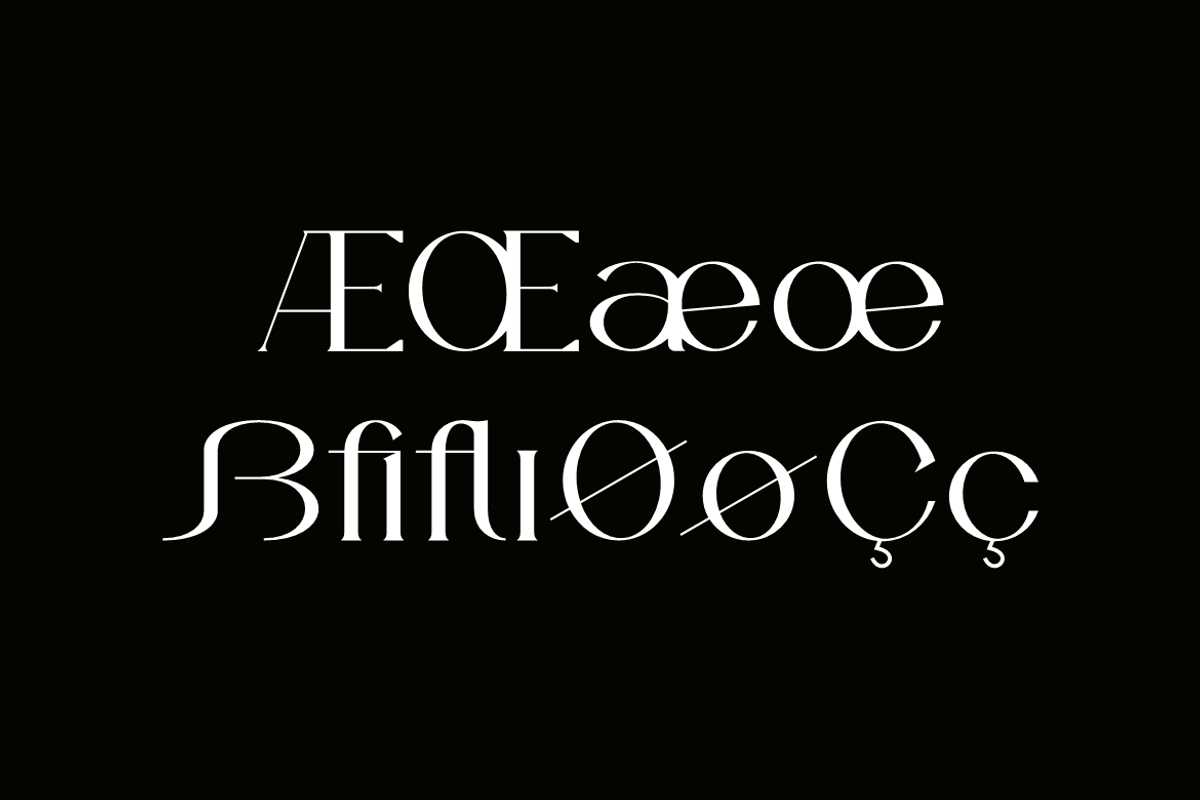 Gefars - Modern Ligature Serif Font, a Serif Font by QR Design Studio (Photo 11 of 14)
