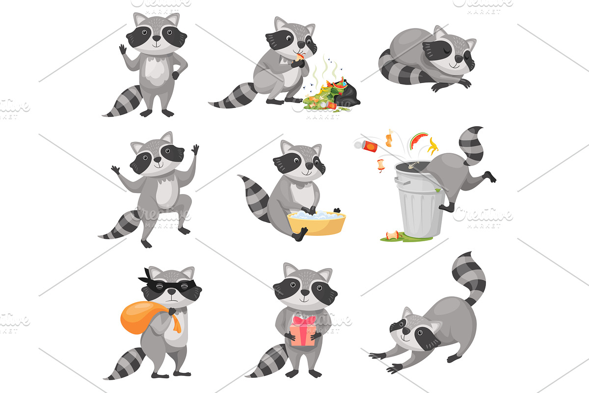 Cartoon raccoon. Racoon cute, an Animal Illustration by Stock-Smart-Start