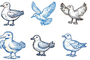Hand Drawn Seagull Clipart PNG, an Illustration by Designking (Thumbnail 3 of 4)