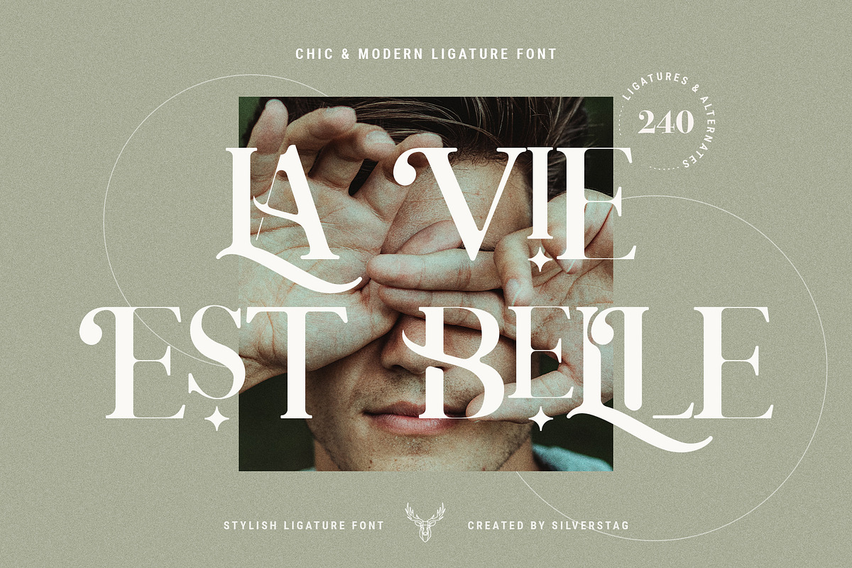Charles - Chic Ligature Serif Font preview 4