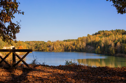 Autumn lake scenic view. Colorful fall trees with beautiful foliage., a Nature Photo by photoguns