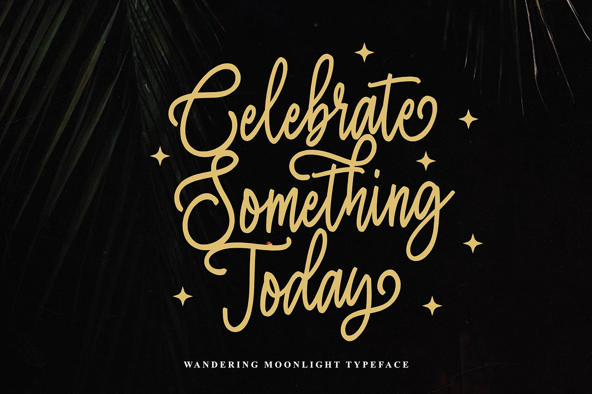 Wandering Moonlight, a Script Font by Damarletter (Photo 3 of 5)