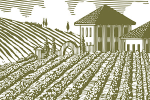 Woodcut Vineyard Landscape