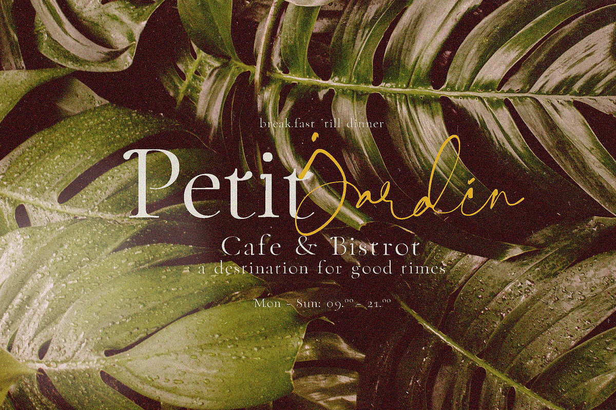 Sally Morrison Script & Serif preview 7