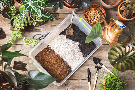 Top view of container with soil mix, a Nature Photo by Andriana Syvanych