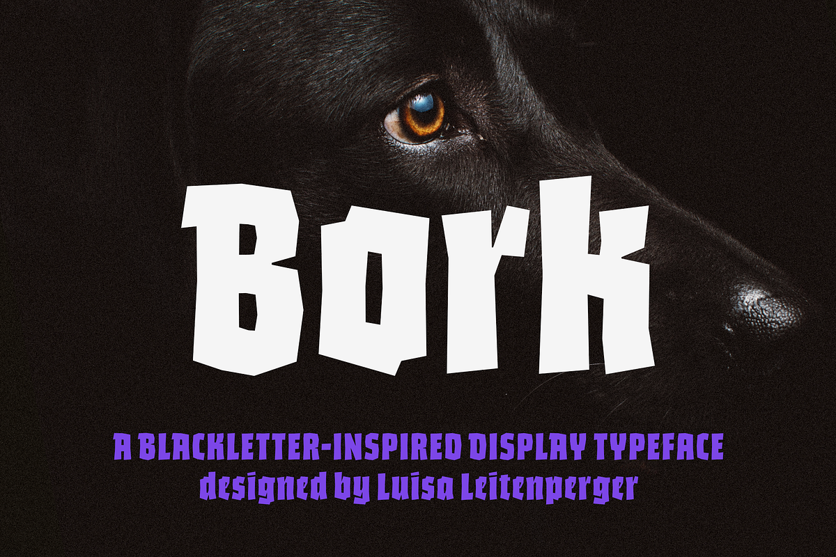 Bork: a blackletter-inspired font, a Blackletter Font by Harbor Type (Photo 1 of 12)