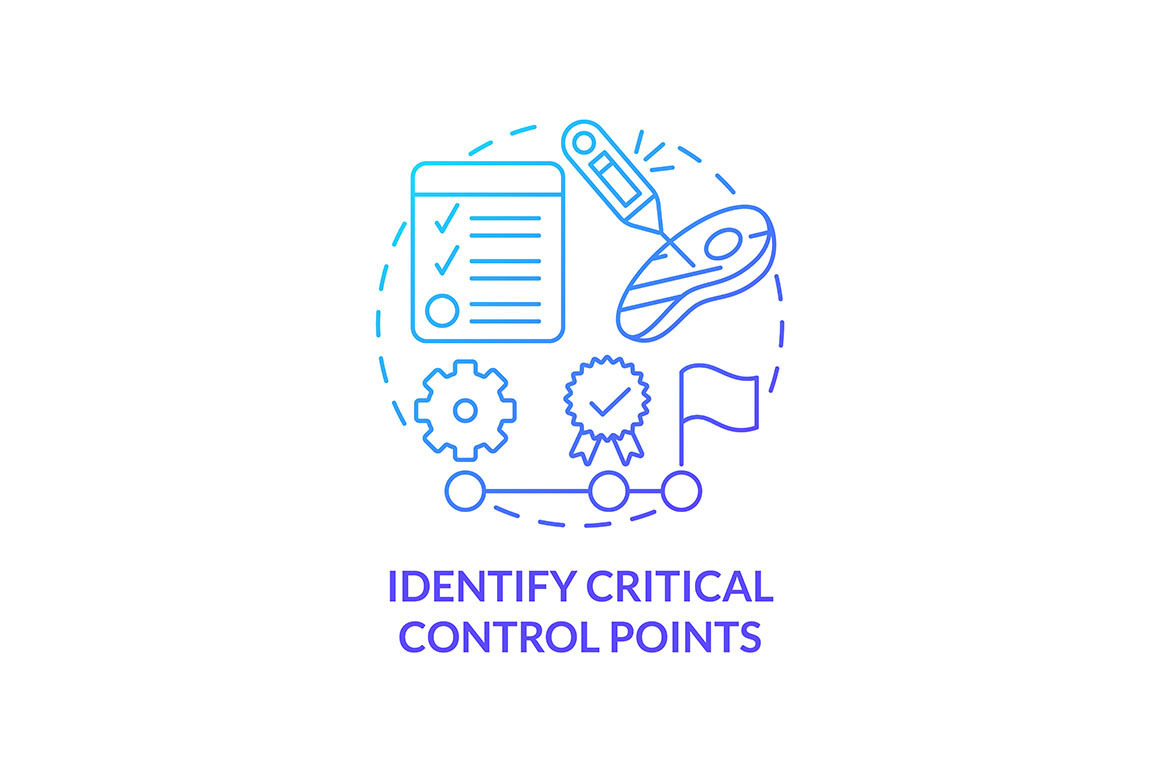 Identify critical control points, an Icon by IMG Visuals