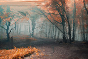 Oil Paint FX Photoshop Action Plugin, a Plug-in Add-On by Giallo (Thumbnail 16 of 23)