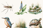 Watercolor Summer Pond Nature, an Object Illustration by BusyDaydesign (Thumbnail 4 of 9)