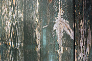 Barn & Farmhouse Wood Textures, a Background Photo by VetalStock (Thumbnail 7 of 10)