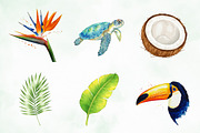 Modern Tropical Huge Collection, an Illustration by Creative Art (Thumbnail 2 of 9)