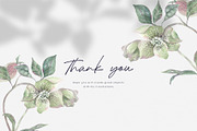 Hellebore. Pencil and watercolor, an Illustration by Tilling (Thumbnail 6 of 6)
