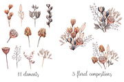 Watercolor dried plants,seed pods., an Illustration by yulia.sukhanova (Thumbnail 2 of 5)