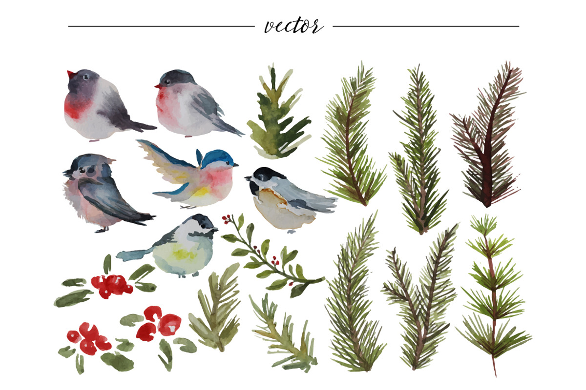 Watercolor Winter Birds and Branches, an Illustration by RalucaGheorghe (Photo 3 of 4)