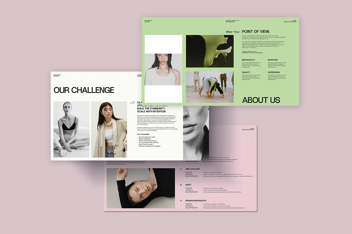 EGO Brand Strategy | CANVA, a Presentation Template by evgenystudio (Photo 5 of 11)