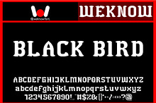 Black Bird font