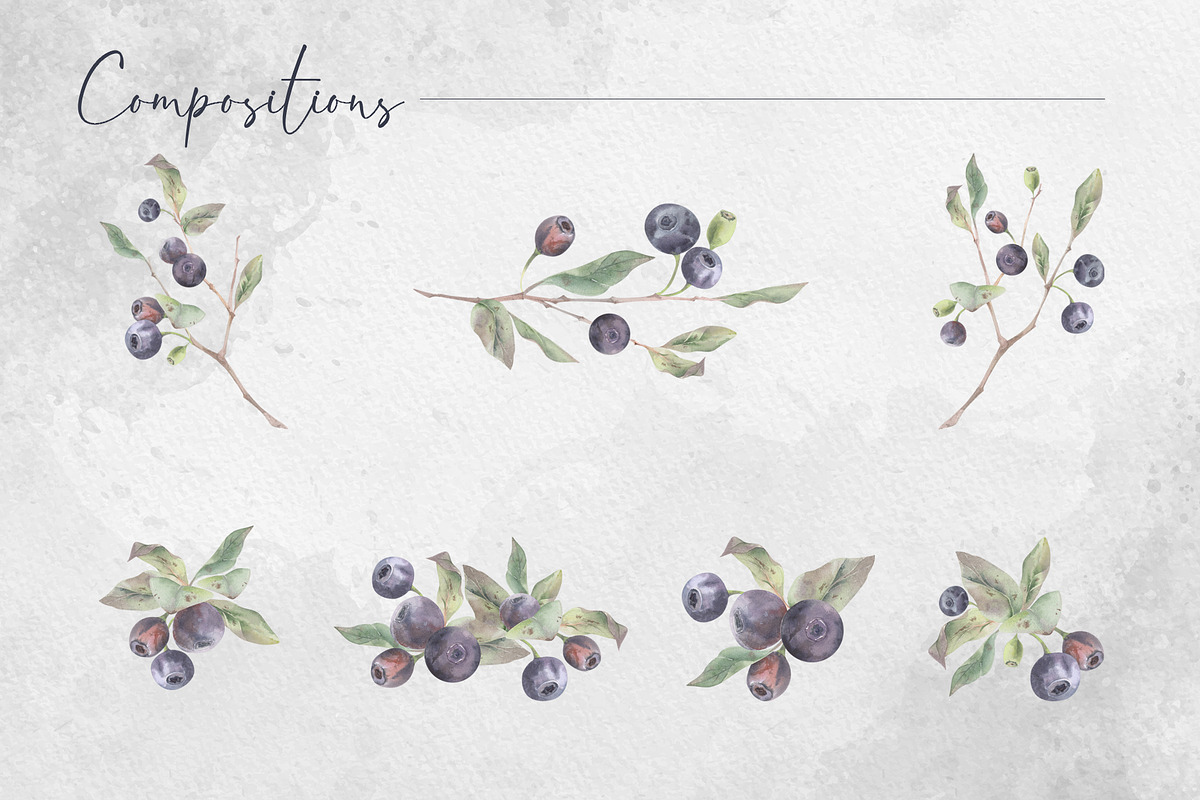Forest huckleberry berries, a Food Illustration by MsFlaffy (Photo 5 of 11)