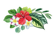 Tropical plants set, an Illustration by Watercolor life (Thumbnail 4 of 13)