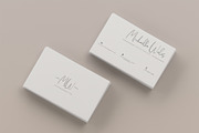 Alchemila Script, a Script Font by Chocotype Std (Thumbnail 9 of 16)