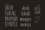 Malika - Elegant Serif Font, a Serif Font by Graphicxell (Thumbnail 7 of 8)