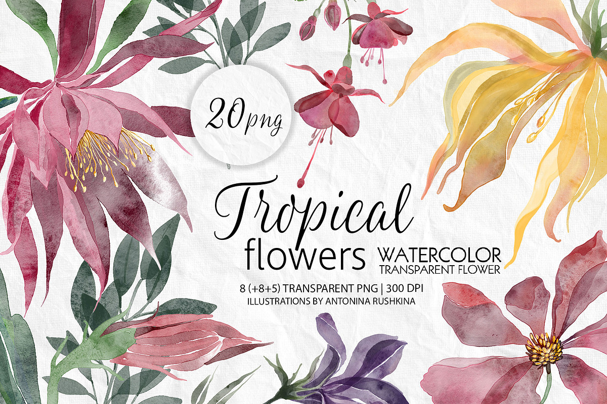 Set of transparent watercolor flower, a Decorative Illustration by RushkinaAntonina (Photo 1 of 5)
