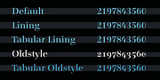 Legit Didone Head, a Serif Font by Finaltype (Thumbnail 6 of 14)