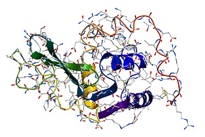Lysozyme, the natural antibacterial, a Food Illustration by Leonid Andronov