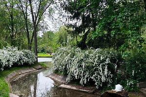 Scenic park landscape with stream surrounded by lush green trees and shrubs, a Photo by AS photostudio
