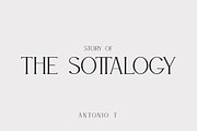 WILLSON - Clean Serif, a Serif Font by din-studio.com (Thumbnail 3 of 10)