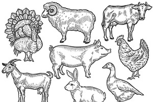 Farm Animal Set Illustration