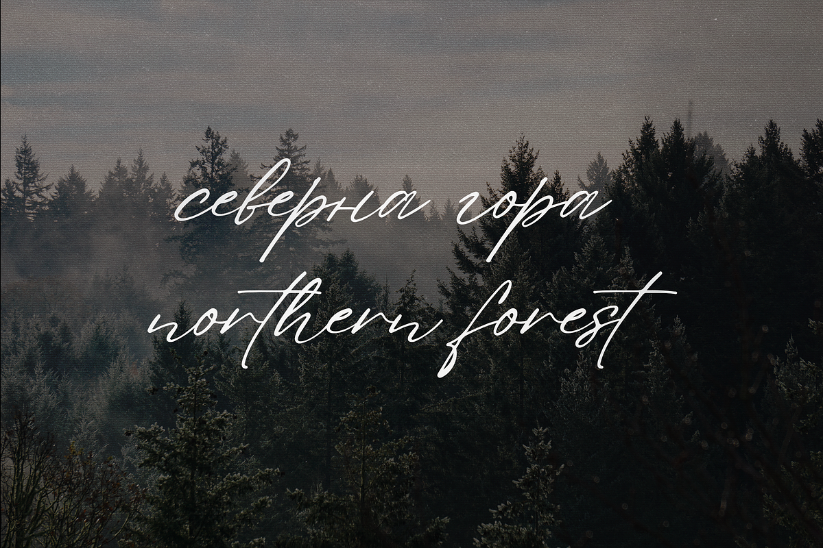 Sign That - Signature font, a Script Font by VP Fonts (Photo 11 of 20)