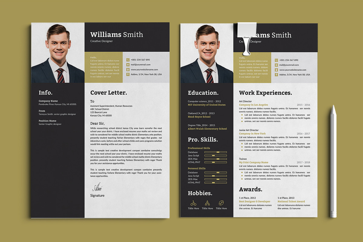 Resume/CV Template, a Resume Template by TheStyle-2 (Photo 2 of 4)