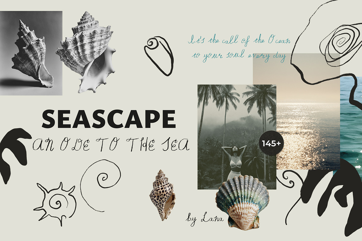 SEASCAPE Line, Seashells & Textures, an Object Graphic by Lana Elanor (Photo 1 of 11)